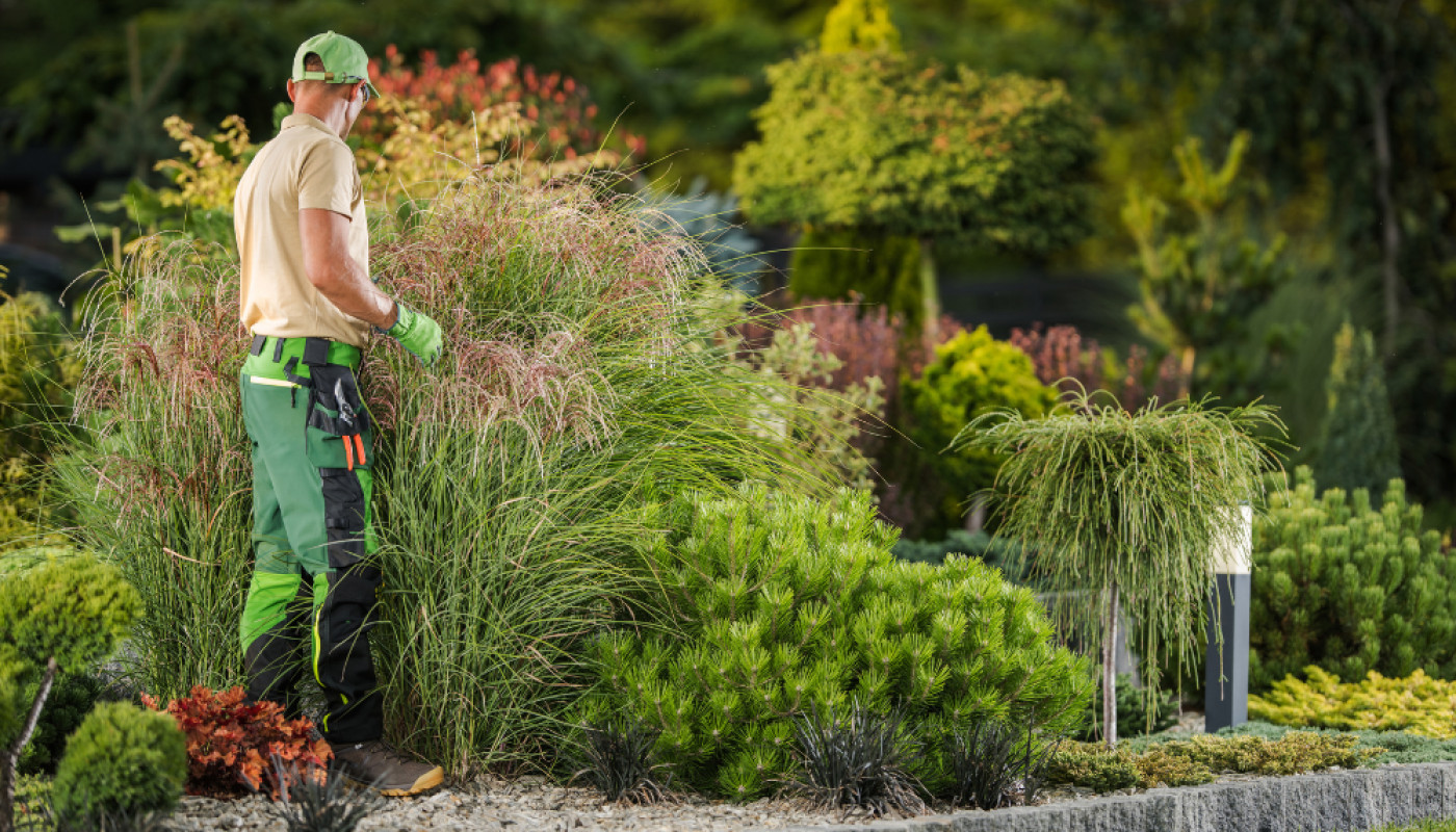 Atelier du Jardin, le paysagiste proche de Paris qui se déplace à Vanves !